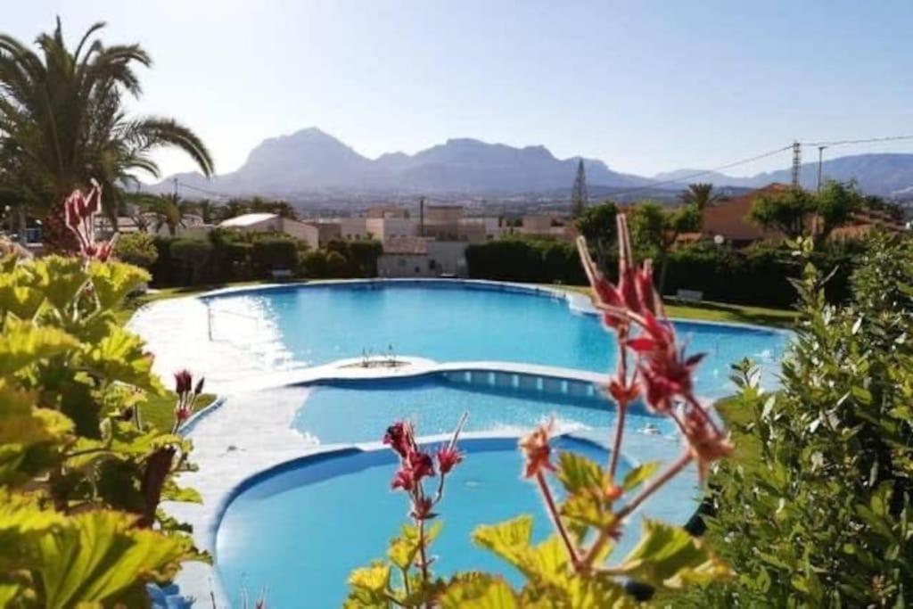 Vakantiehuisje Lagomar - Albir Villa El Albir Buitenkant foto